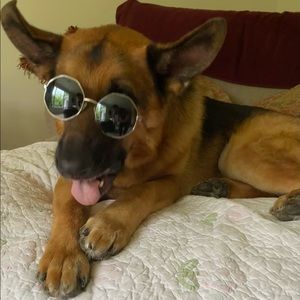 NWOT Guess Women’s Sunglasses. Silver frames. Octagon shape blue lenses. NEW.